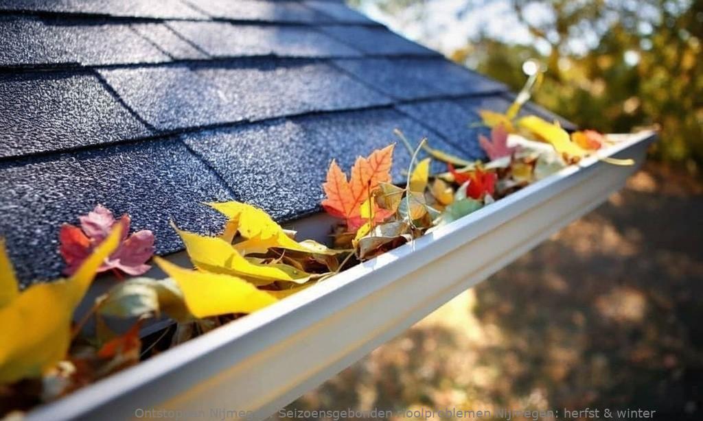 Seizoensgebonden rioolproblemen Nijmegen: herfst & winter